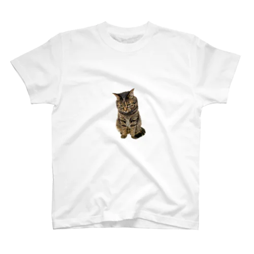 もじもじ猫きっと Regular Fit T-Shirt