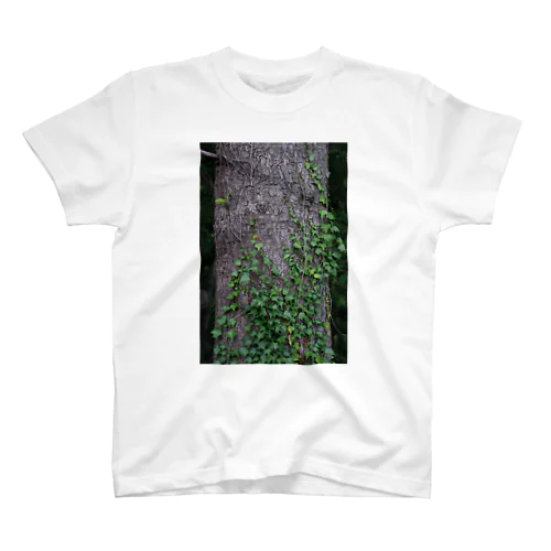 もみの木は何でも知っている Regular Fit T-Shirt