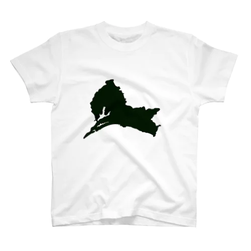 試される県民愛『茨城県』編 スタンダードTシャツ