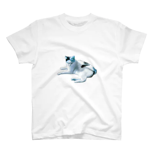 みずいろねこ Regular Fit T-Shirt