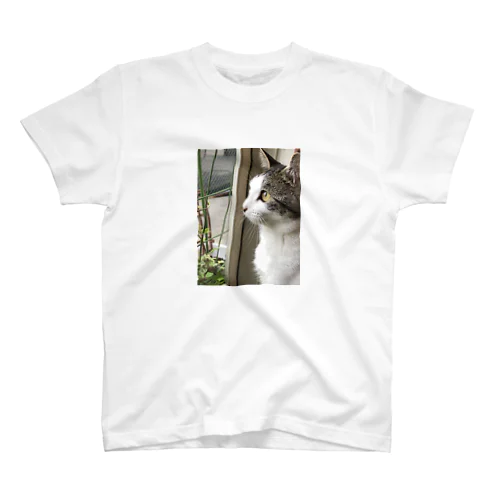 猫のきょうこちゃん Regular Fit T-Shirt