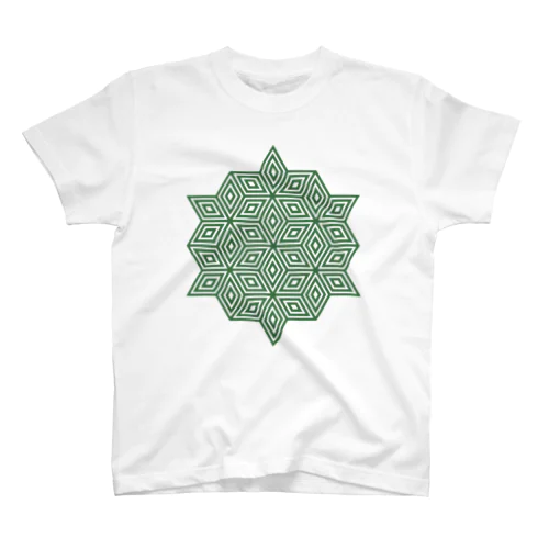 KASANEASA-GREEN Regular Fit T-Shirt