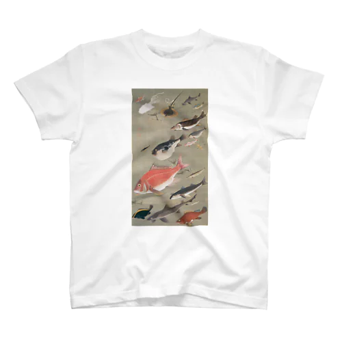 伊藤若冲《群魚図（鯛）》 スタンダードTシャツ