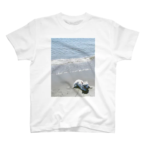 海犬 Regular Fit T-Shirt