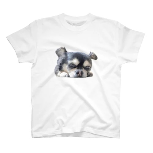 可愛いチワワ＊犬＊わんこ＊動物 Regular Fit T-Shirt