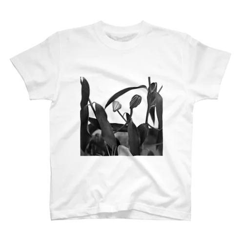 Monofilm  flower T-shirt スタンダードTシャツ