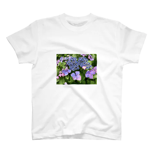 額紫陽花１ Regular Fit T-Shirt
