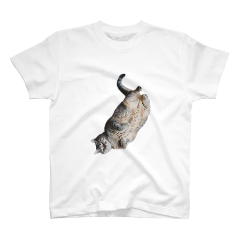 3月17日の落ちてる猫です スタンダードTシャツ