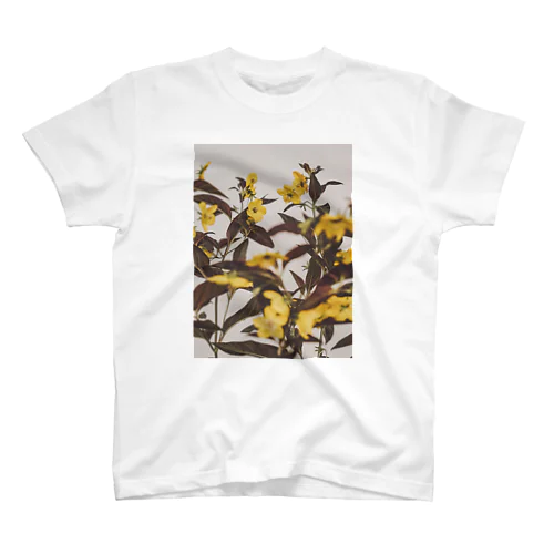 Lysimachia スタンダードTシャツ