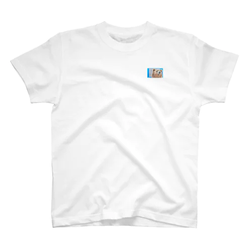 Bear Regular Fit T-Shirt