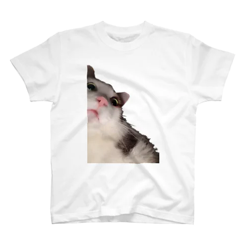 ねこちゃ Regular Fit T-Shirt