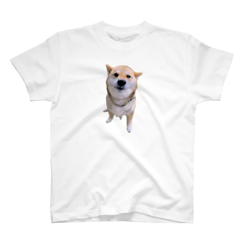 王道柴犬 Regular Fit T-Shirt