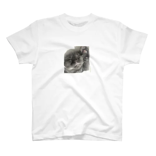 子猫 スタンダードTシャツ