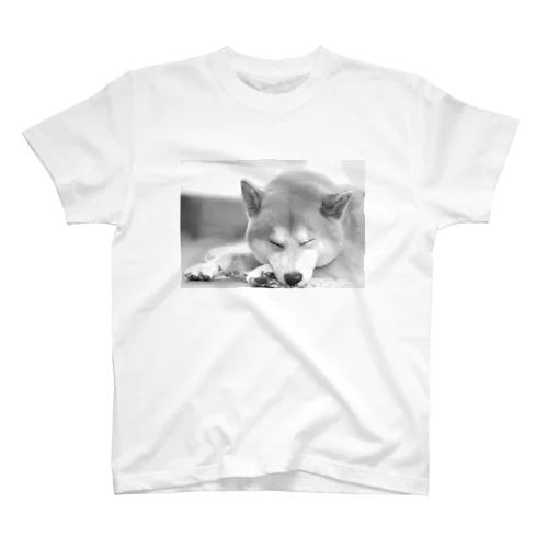 眠り柴犬 Regular Fit T-Shirt