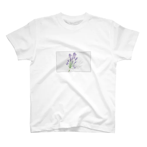 ラベンダーの花 スタンダードTシャツ