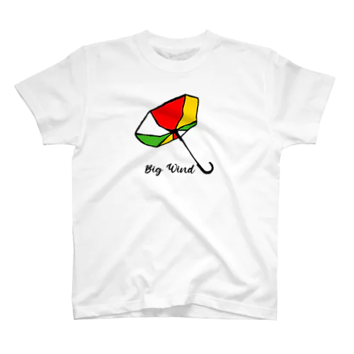 暴風Big Wind Regular Fit T-Shirt
