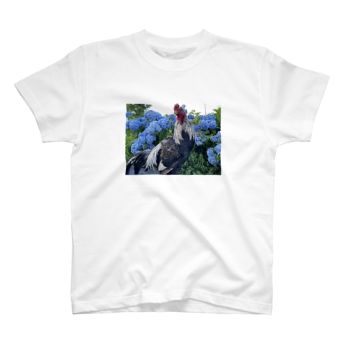 声良鶏ｺｴﾖｼﾄﾞﾘ Regular Fit T-Shirt