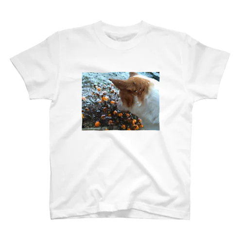 犬のまめちゃんと冬 Regular Fit T-Shirt