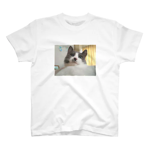 猫ちゃんティ Regular Fit T-Shirt