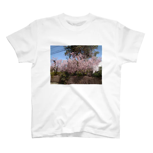 桜の木 Regular Fit T-Shirt