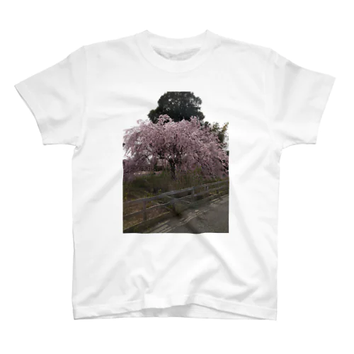 しだれ桜 スタンダードTシャツ