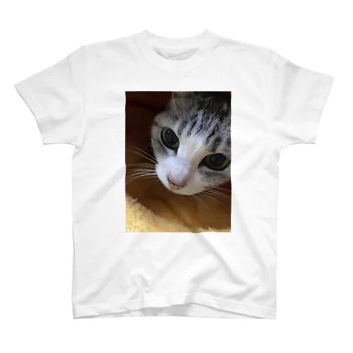 ねこまろ Regular Fit T-Shirt