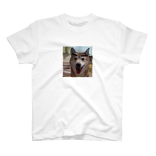 眉犬 スタンダードTシャツ