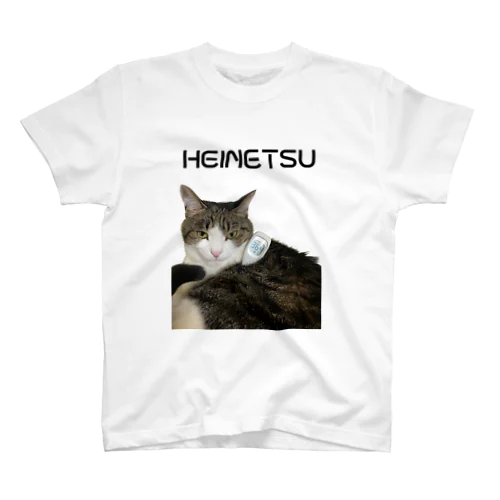 HEINETSU MIMI Regular Fit T-Shirt