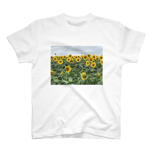 太陽の花、ヒマワリ。 スタンダードTシャツ