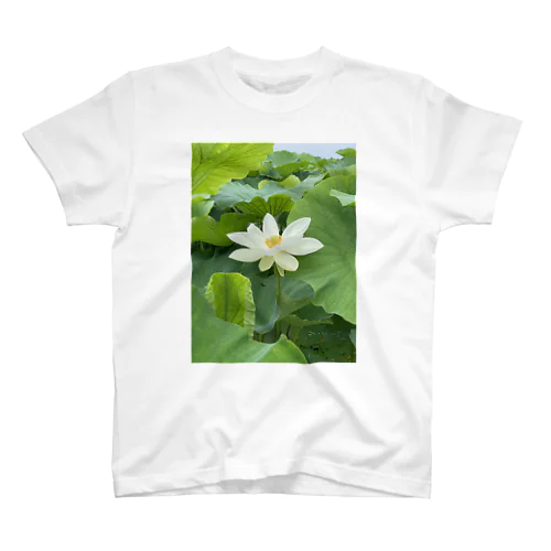 レンコンの花 Regular Fit T-Shirt