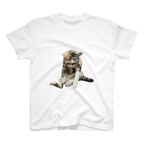 angry cat Regular Fit T-Shirt