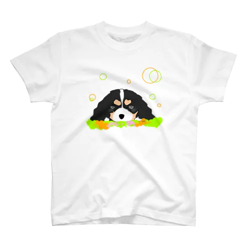 キャバリアトライカラー癒し犬 Regular Fit T-Shirt