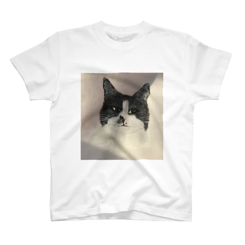 猫ちゃん スタンダードTシャツ