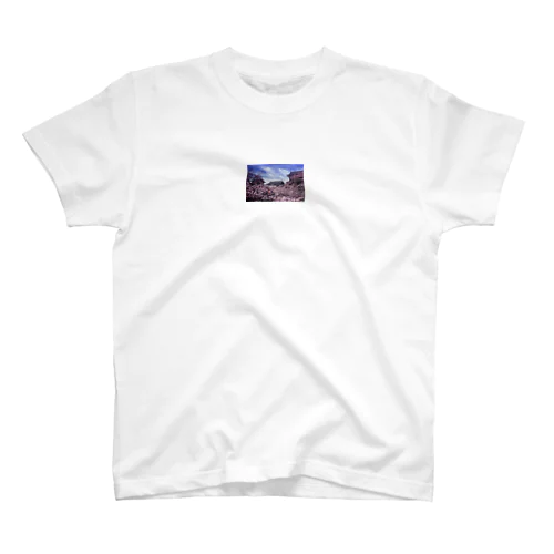 上田城桜2 Regular Fit T-Shirt