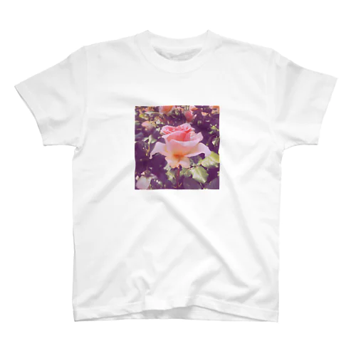 rose Regular Fit T-Shirt