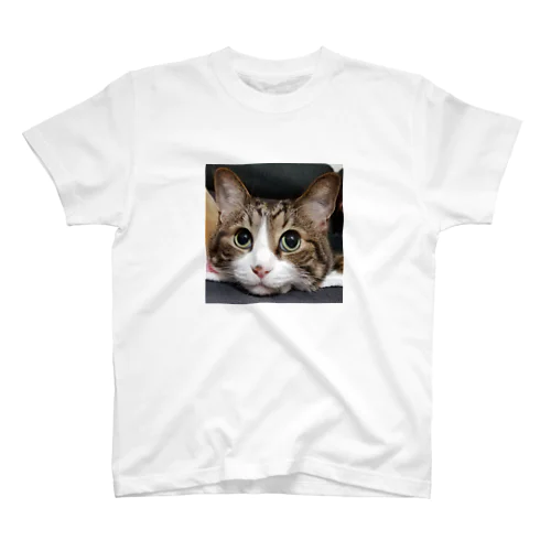 可愛いニャンコ Regular Fit T-Shirt