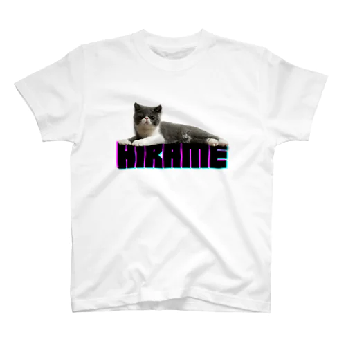 HIRAME Regular Fit T-Shirt