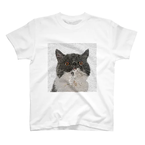 ブサかわいいエキゾチックショートヘアの子猫-レンガブロックの背景 Regular Fit T-Shirt