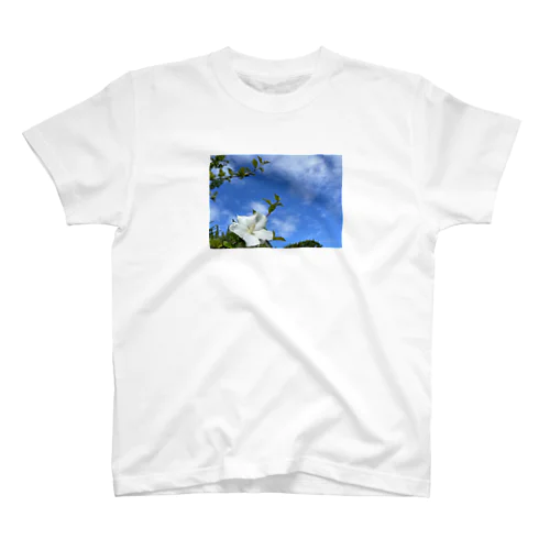 flower and sky Regular Fit T-Shirt