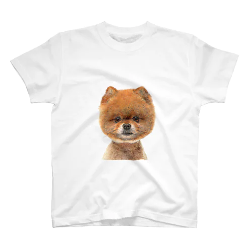 かわいいポメラニアン犬 Regular Fit T-Shirt