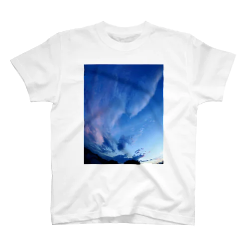 flying high Regular Fit T-Shirt