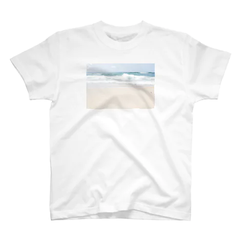 see SEA  スタンダードTシャツ