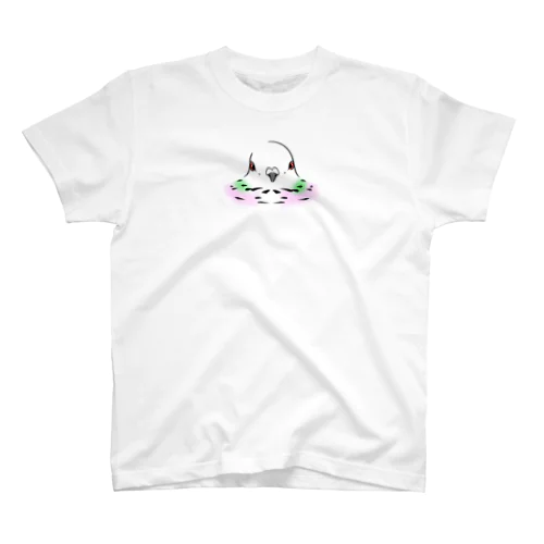 鳩胸Tシャツ スタンダードTシャツ