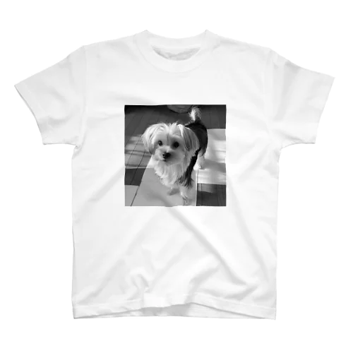 TUK TUK CAFE DOG 4 Regular Fit T-Shirt