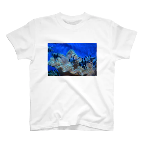 星空の魚 Regular Fit T-Shirt