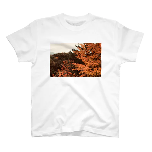 秋の色づき スタンダードTシャツ