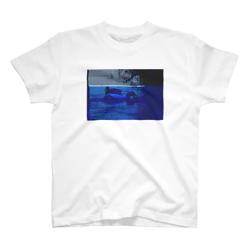 Broken data01: ducks,blue Regular Fit T-Shirt