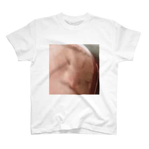 寝顔がおぶすなハムスター(imotaro) Regular Fit T-Shirt