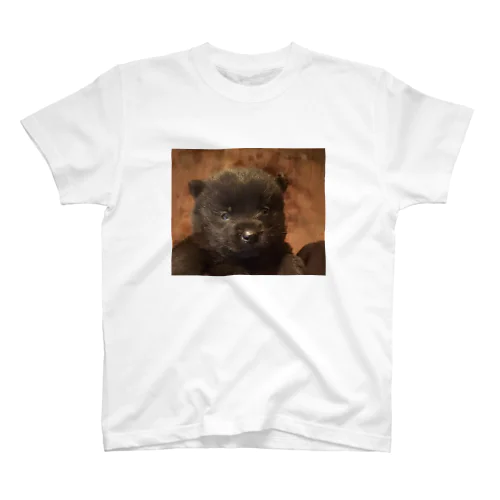 甲斐犬　 Regular Fit T-Shirt