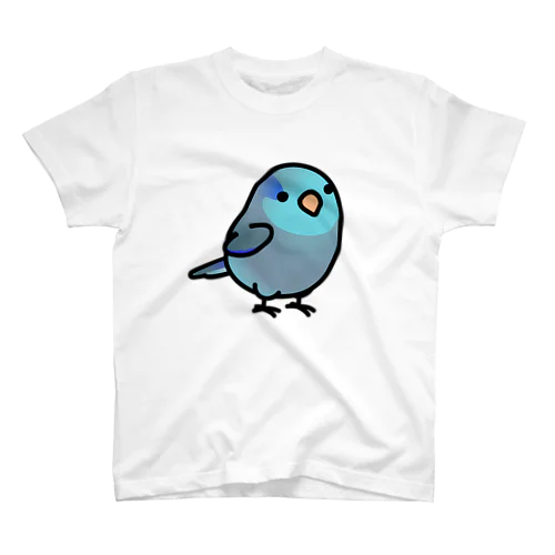 Chubby Bird マメルリハ　ブルー 티셔츠